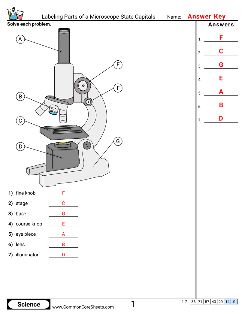 Science Tools Worksheets -  worksheet