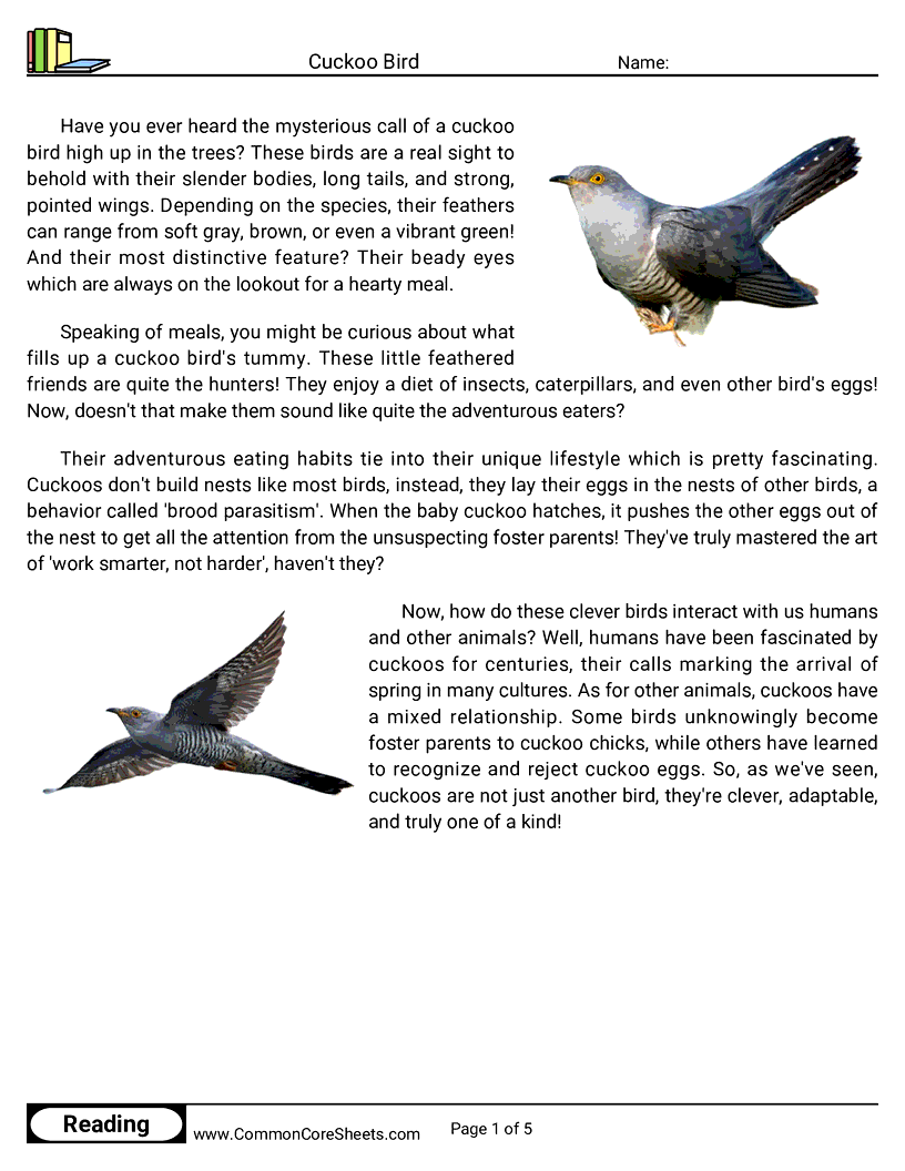 Reading Comprehension Birds Worksheets - cuckoo-bird worksheet
