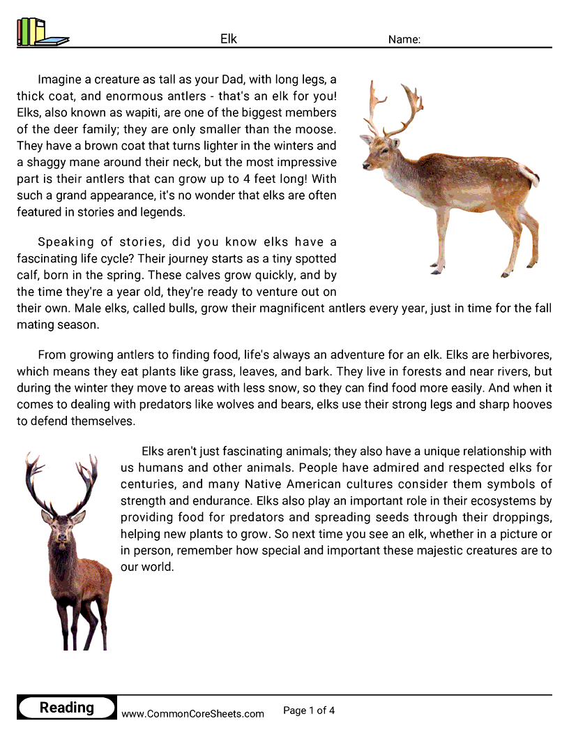 Reading Comprehension Mammals - elk worksheet