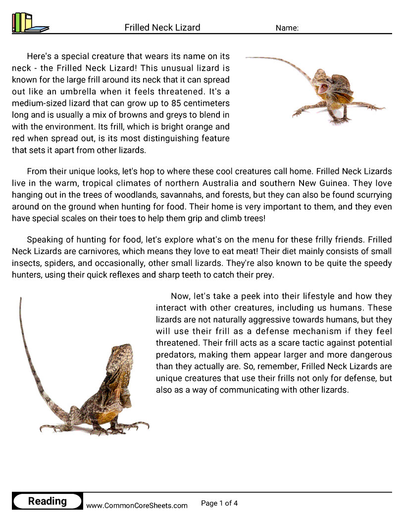 Reading Comprehension Reptiles - frilled-neck-lizard worksheet