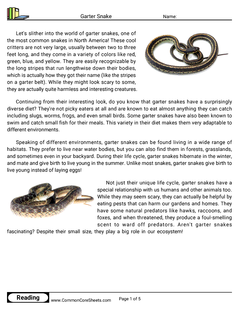 Reading Comprehension Reptiles - garter-snake worksheet