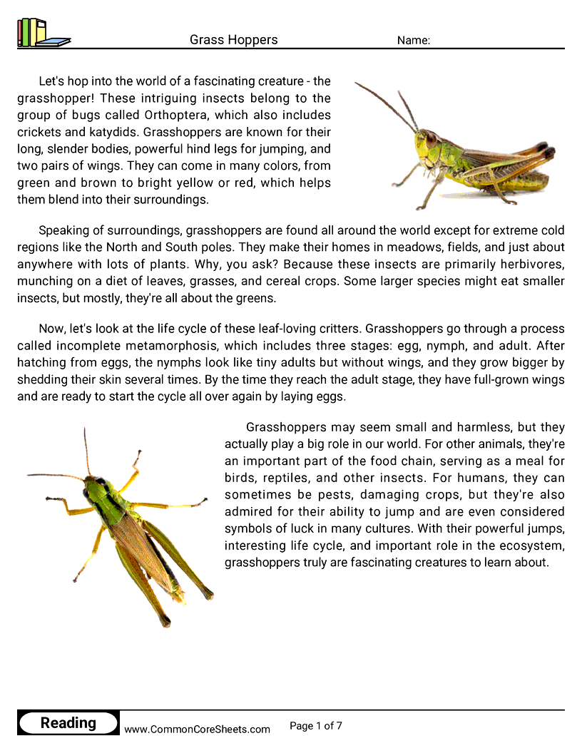 Reading Comprehension Insects Worksheets - grass-hoppers worksheet