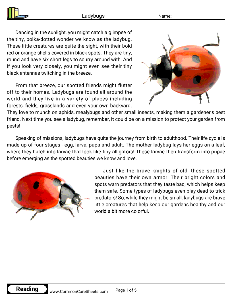 Reading Comprehension Insects Worksheets - ladybugs worksheet