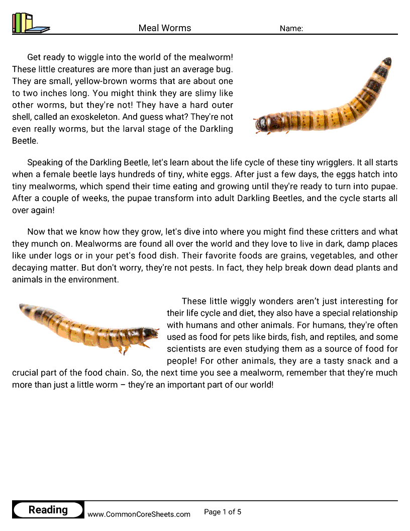 Reading Comprehension Insects Worksheets - meal-worms worksheet