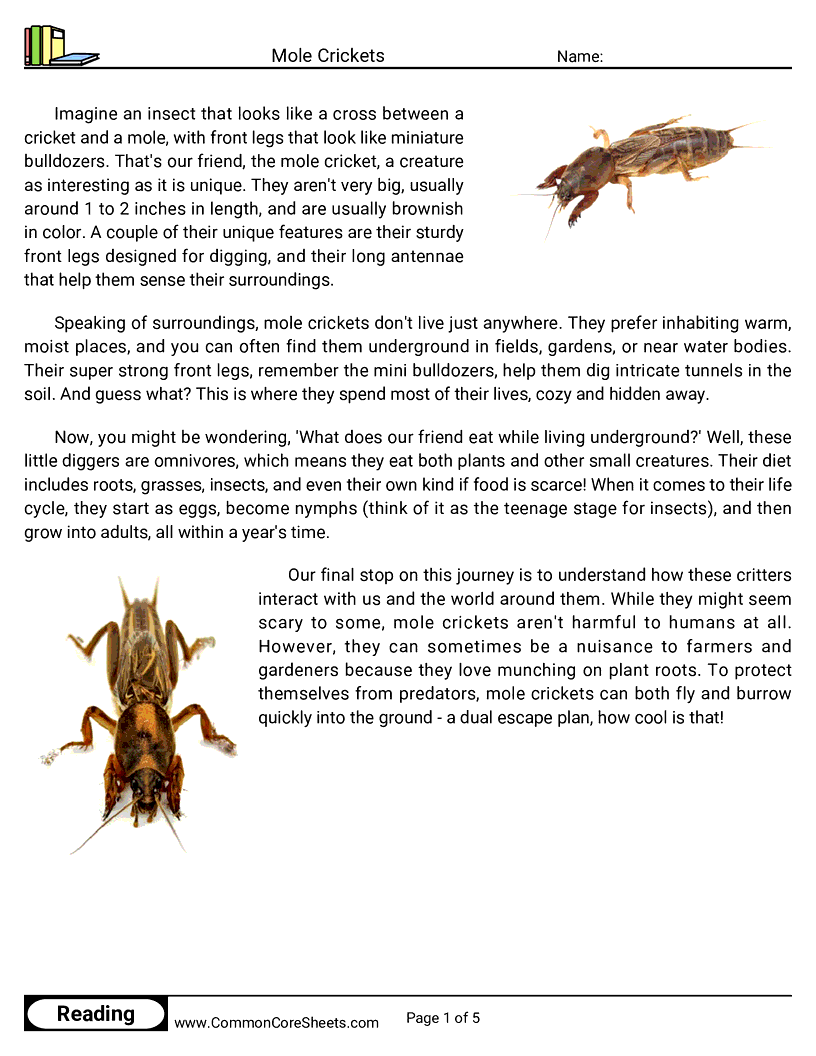 Reading Comprehension Insects Worksheets - mole-crickets worksheet