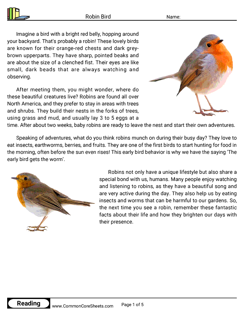 Reading Comprehension Birds Worksheets - robin-bird worksheet