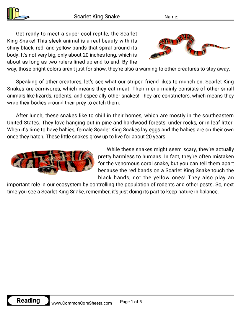 Reading Comprehension Reptiles - scarlet-king-snake worksheet