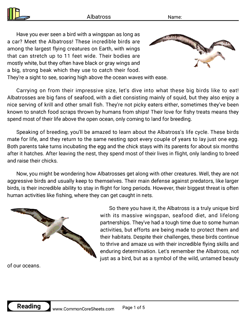 Reading Comprehension Birds Worksheets - albatross worksheet