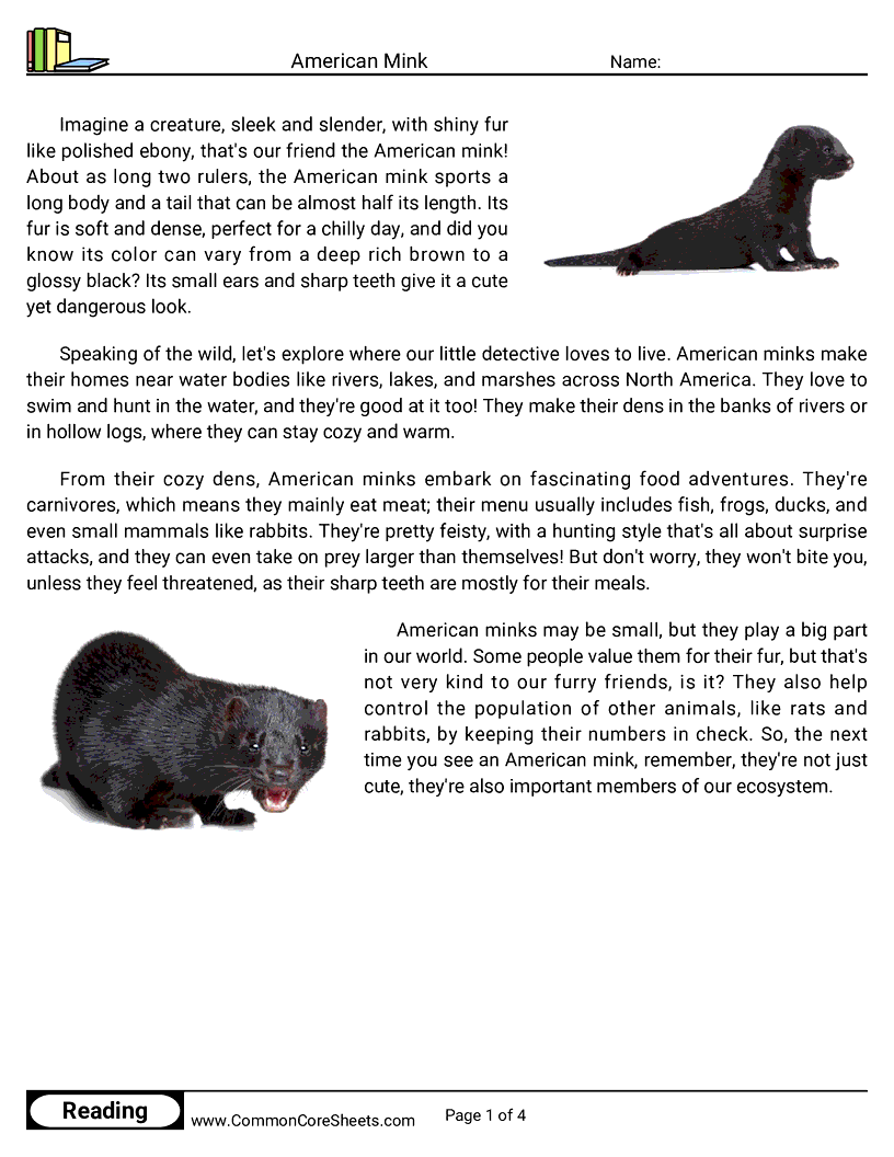 Reading Comprehension Mammals - american-mink worksheet