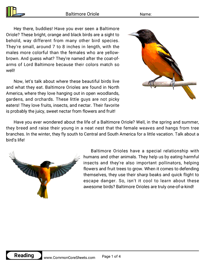 Reading Comprehension Birds Worksheets - baltimore-oriole worksheet