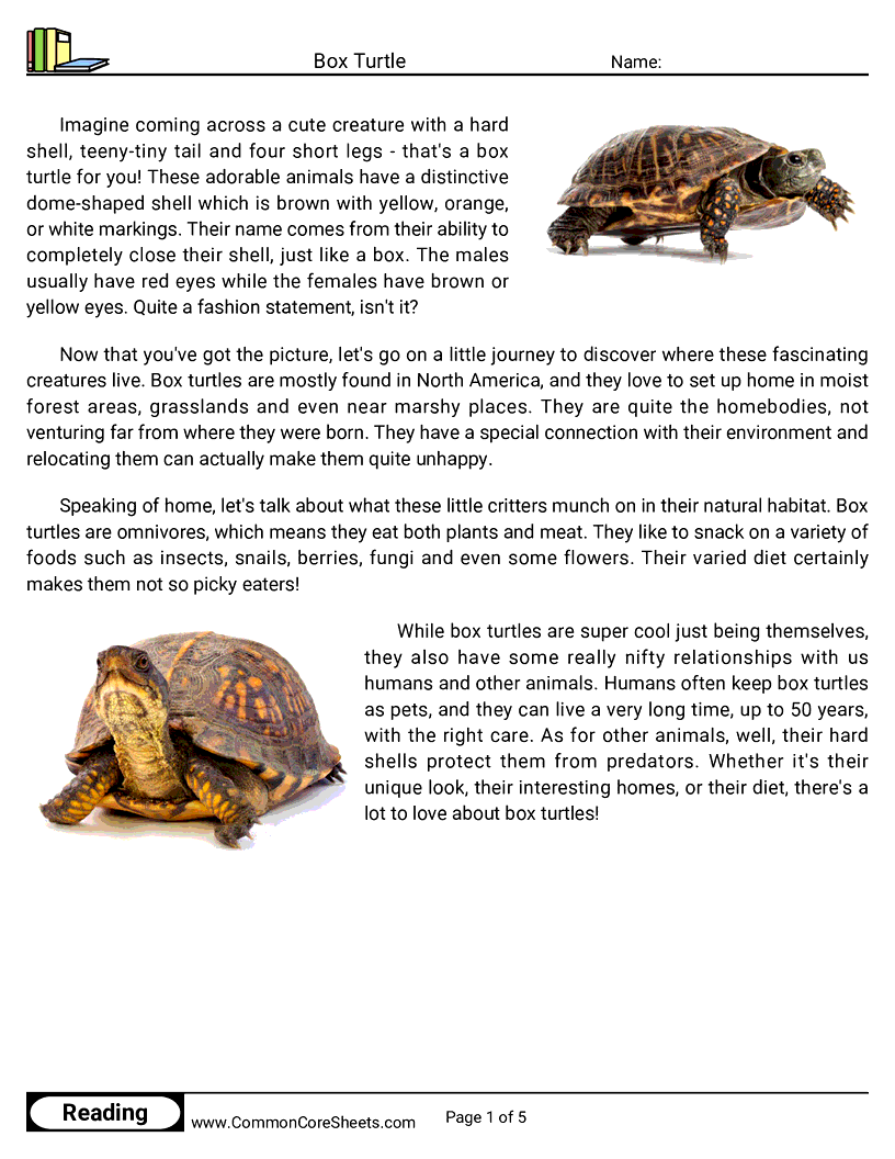 Reading Comprehension Reptiles - box-turtle worksheet