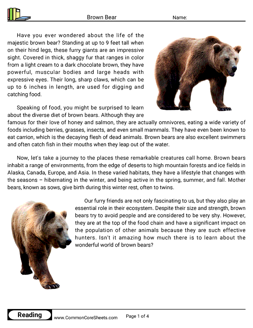 Reading Comprehension Mammals - brown-bear worksheet