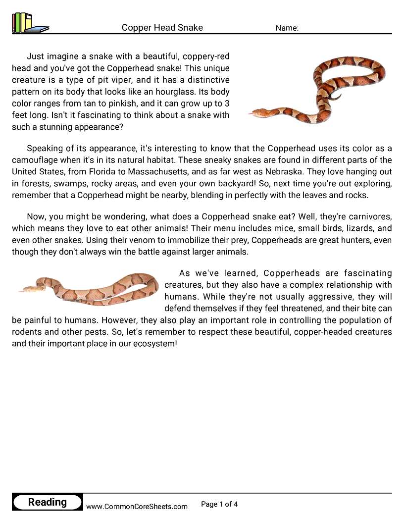 Reading Comprehension Reptiles - copper-head-snake worksheet