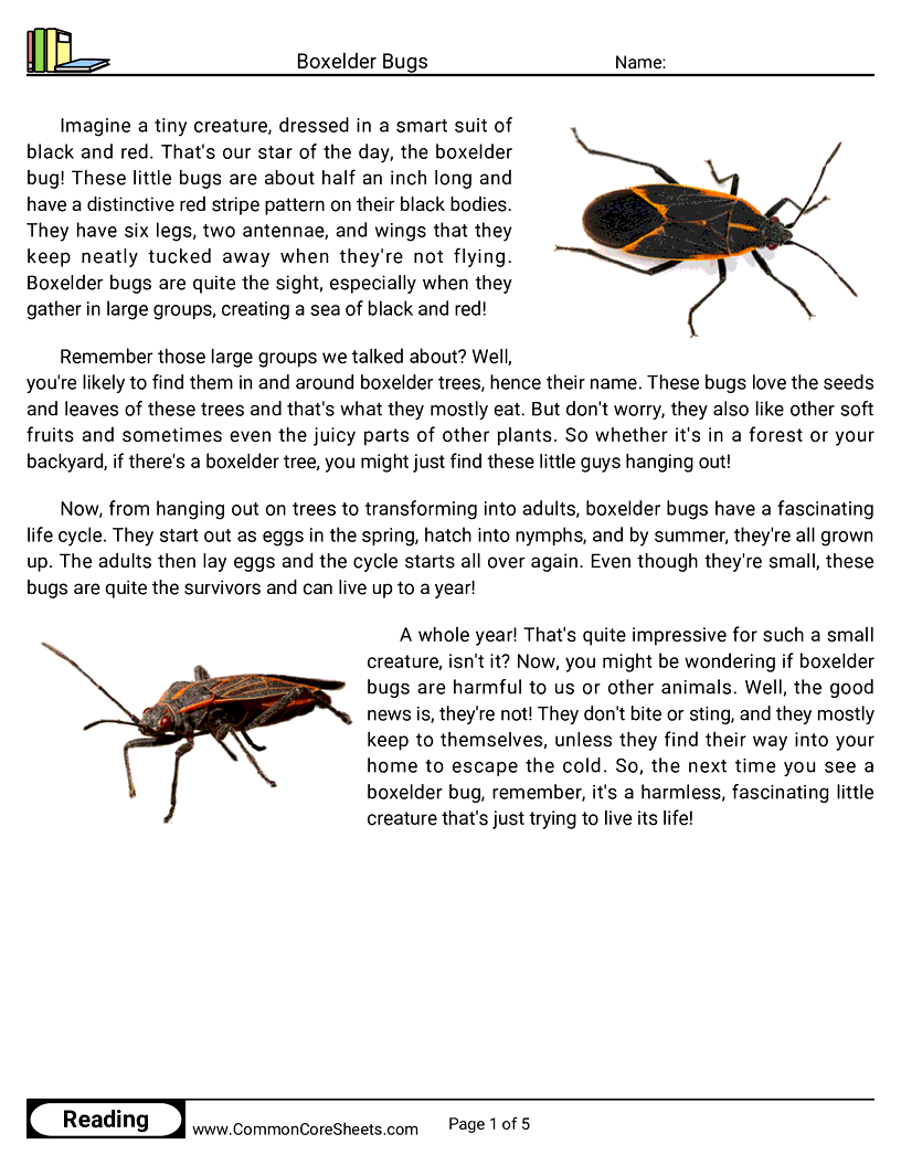 Reading Comprehension Insects Worksheets - boxelder-bugs worksheet