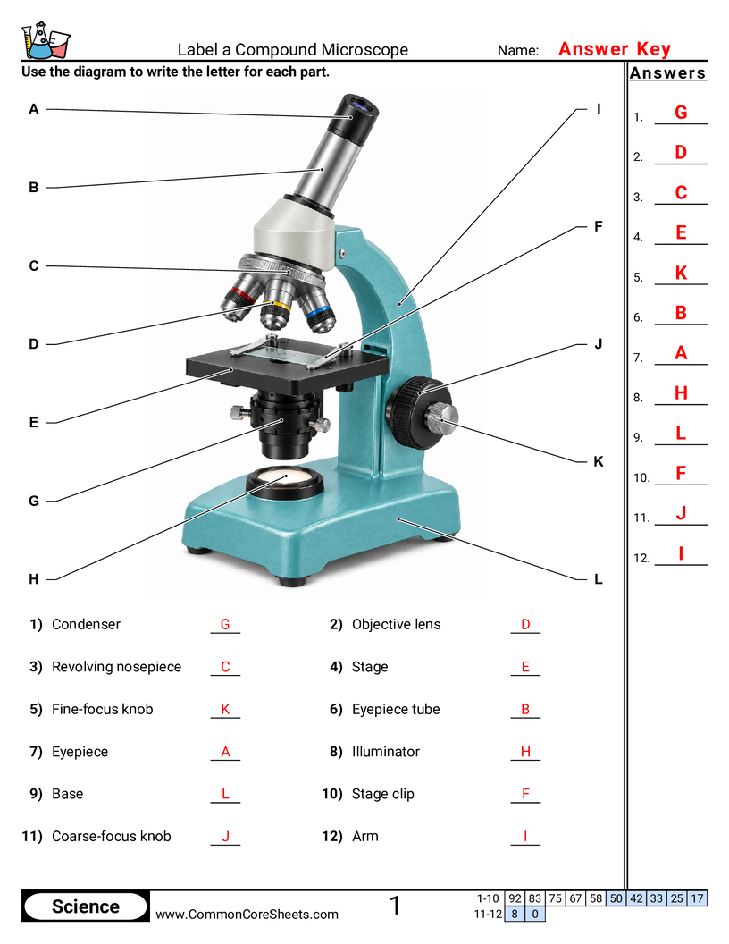 Science Labeling Worksheets - Label a Compound Microscope worksheet