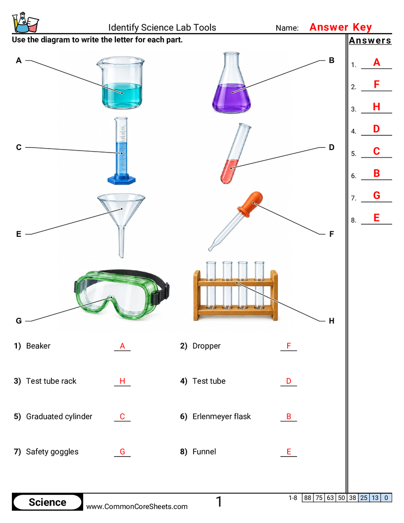 Science Labeling Worksheets - Identify Science Lab Tools worksheet