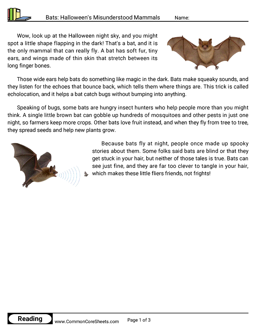 2nd Grade 31 Days of Halloween Reading - Bats: Halloween's Misunderstood Mammals worksheet
