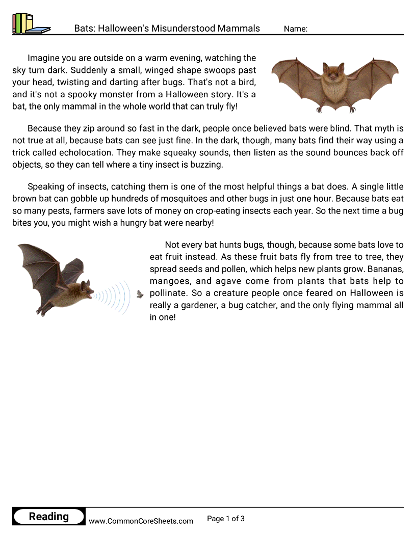 3rd Grade 31 Days of Halloween Reading - Bats: Halloween's Misunderstood Mammals worksheet