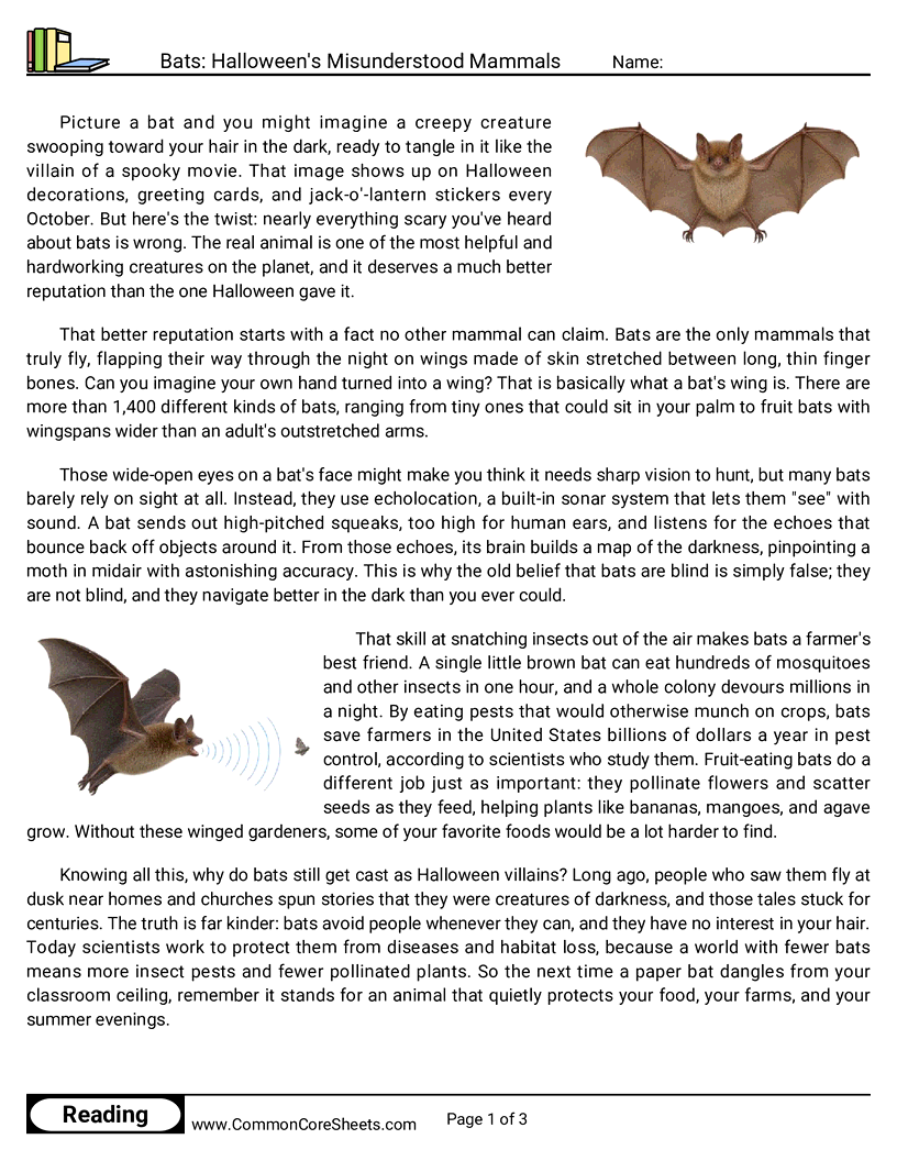 6th Grade 31 Days of Halloween Reading - Bats: Halloween's Misunderstood Mammals worksheet