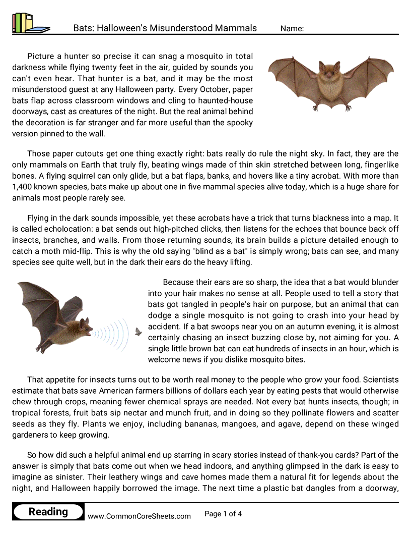 7th Grade 31 Days of Halloween Reading - Bats: Halloween's Misunderstood Mammals worksheet