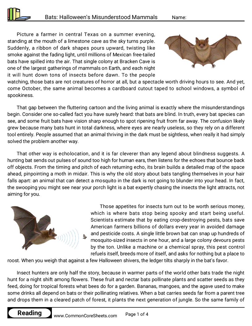 8th Grade 31 Days of Halloween Reading - Bats: Halloween's Misunderstood Mammals worksheet