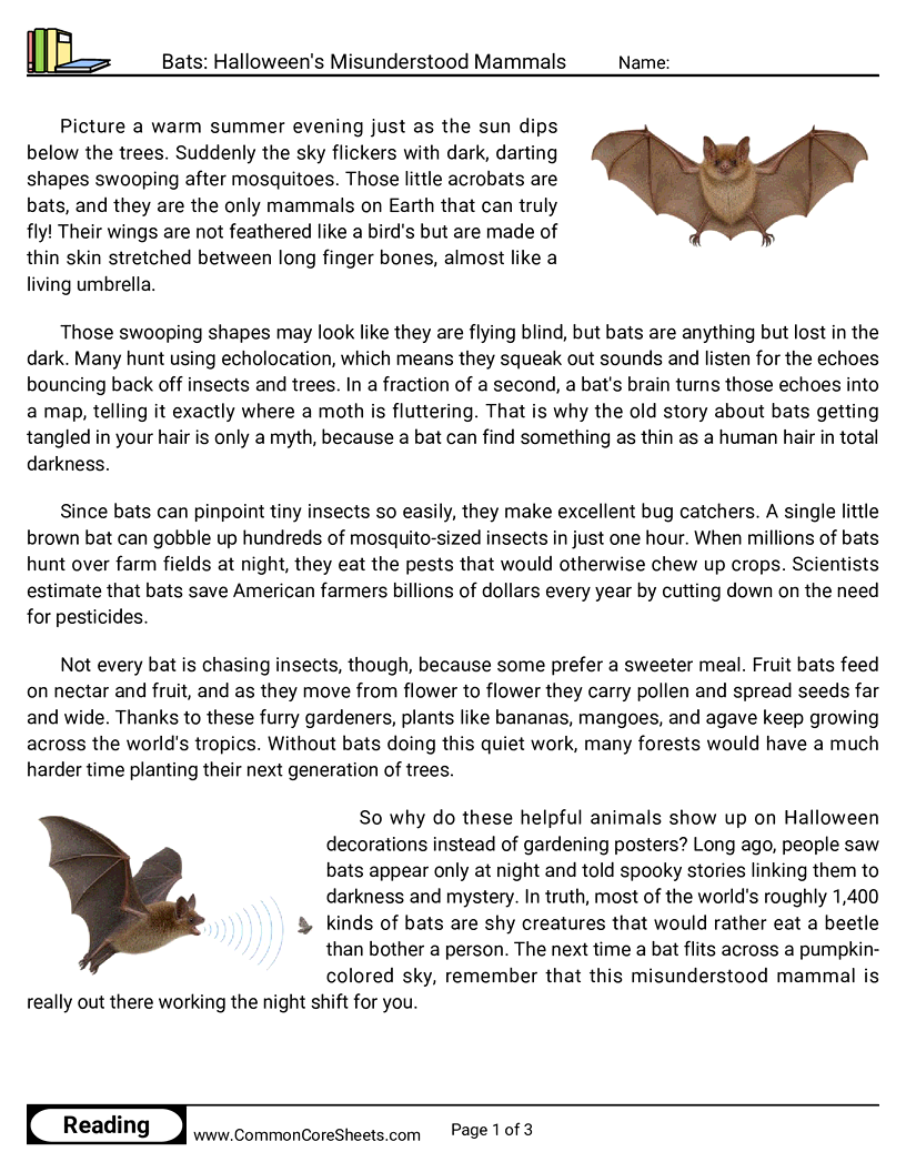 31 Days of Halloween Reading - Bats: Halloween's Misunderstood Mammals worksheet