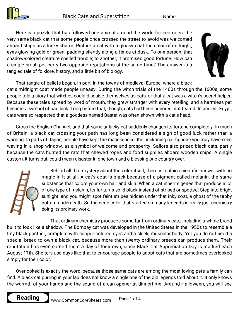 7th Grade 31 Days of Halloween Reading - Black Cats and Superstition worksheet