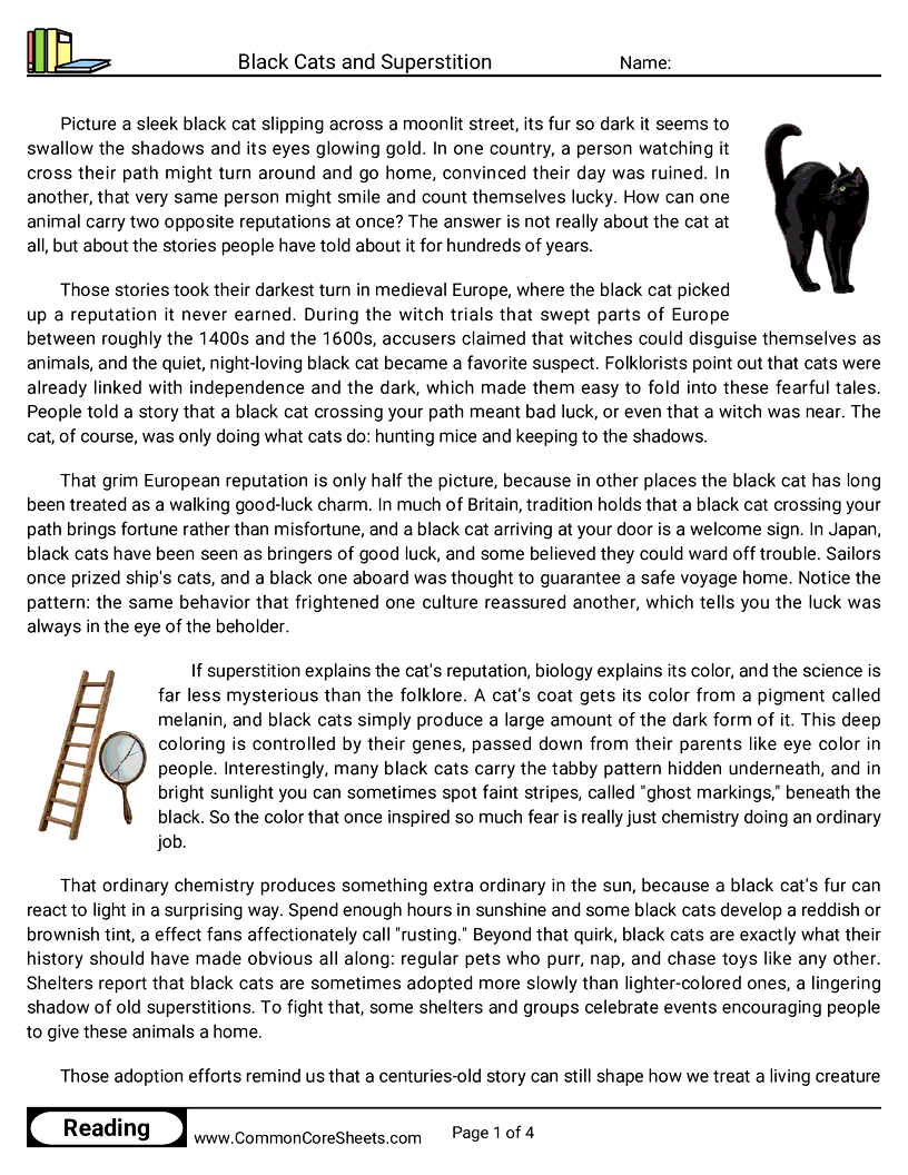 8th Grade 31 Days of Halloween Reading - Black Cats and Superstition worksheet