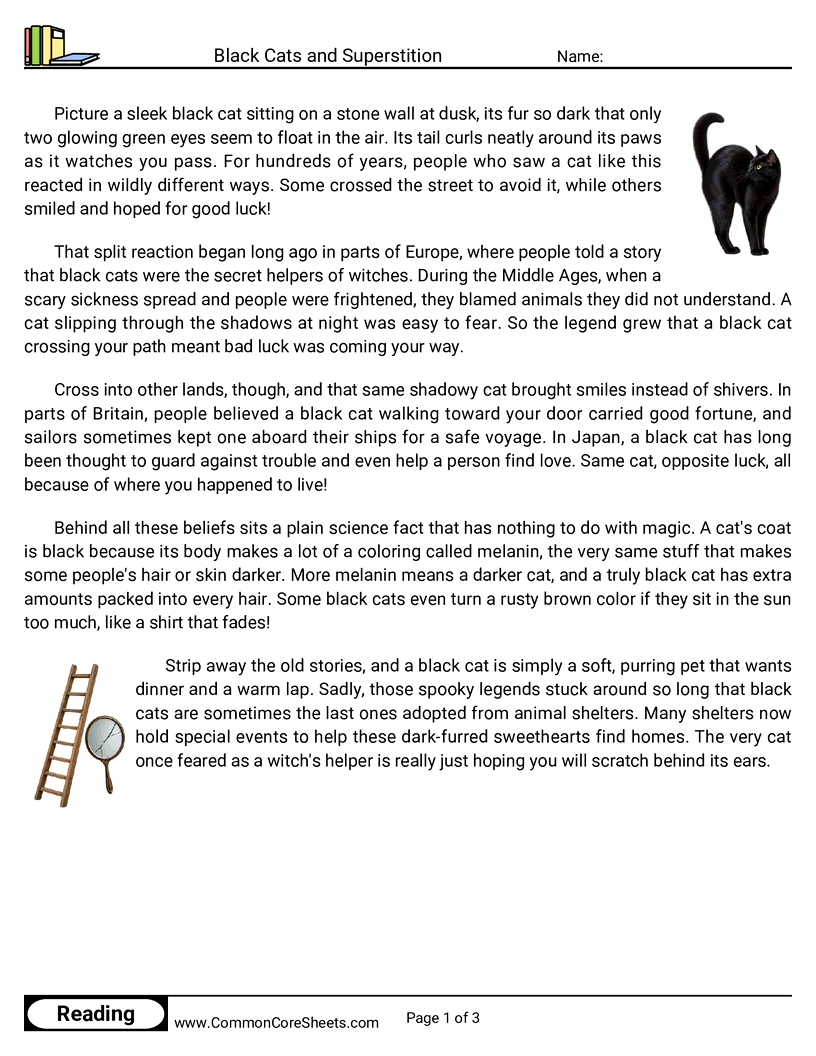 31 Days of Halloween Reading - Black Cats and Superstition worksheet
