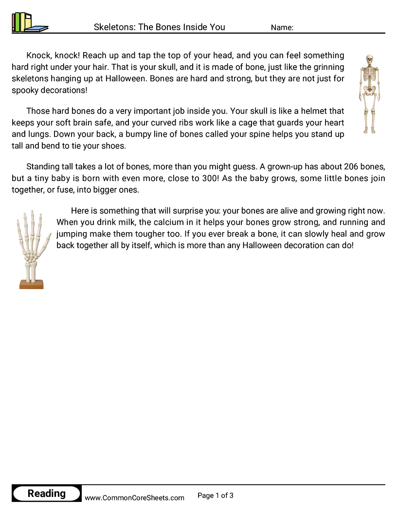 2nd Grade 31 Days of Halloween Reading - Skeletons: The Bones Inside You worksheet