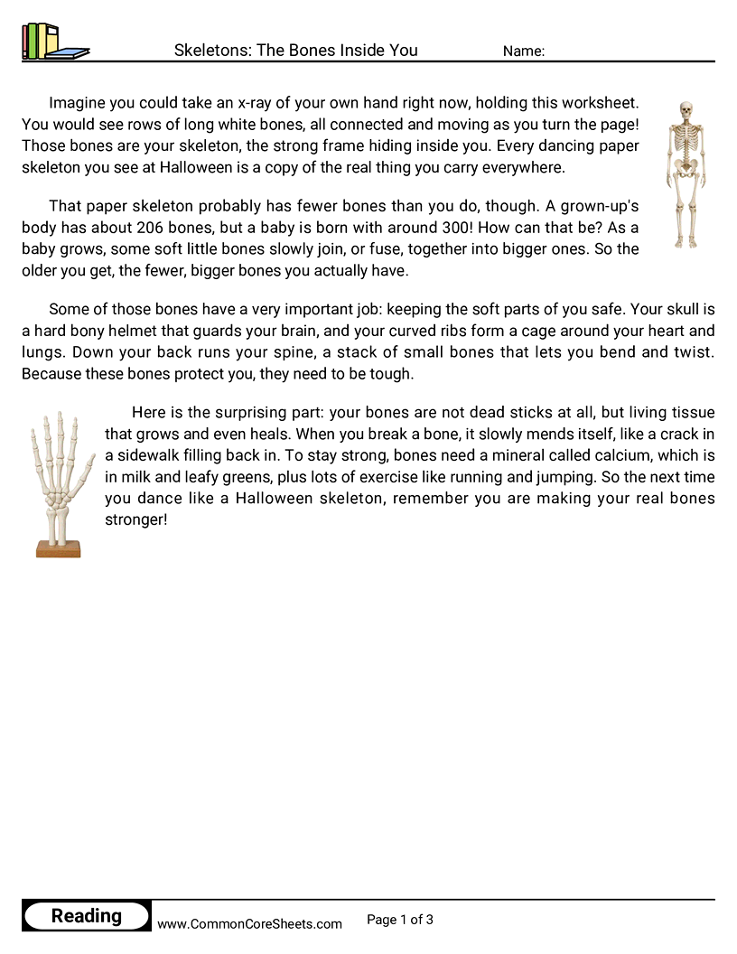 3rd Grade 31 Days of Halloween Reading - Skeletons: The Bones Inside You worksheet