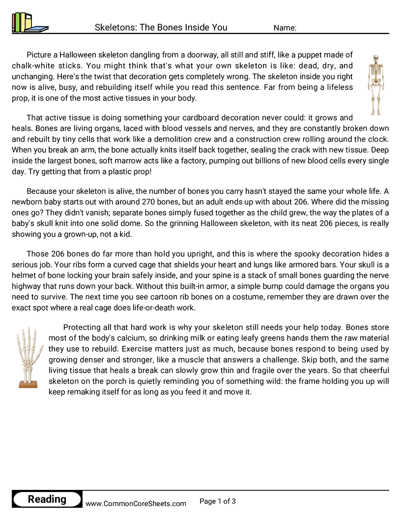 6th Grade 31 Days of Halloween Reading - Skeletons: The Bones Inside You worksheet