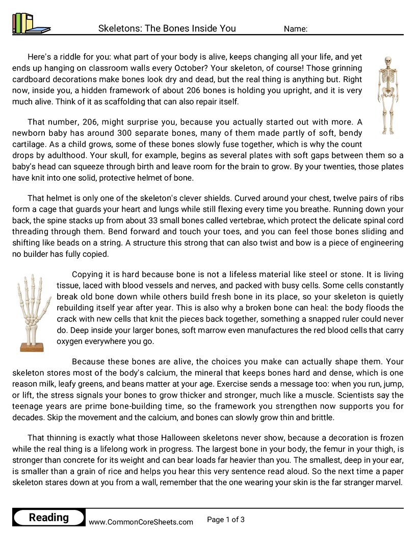 7th Grade 31 Days of Halloween Reading - Skeletons: The Bones Inside You worksheet