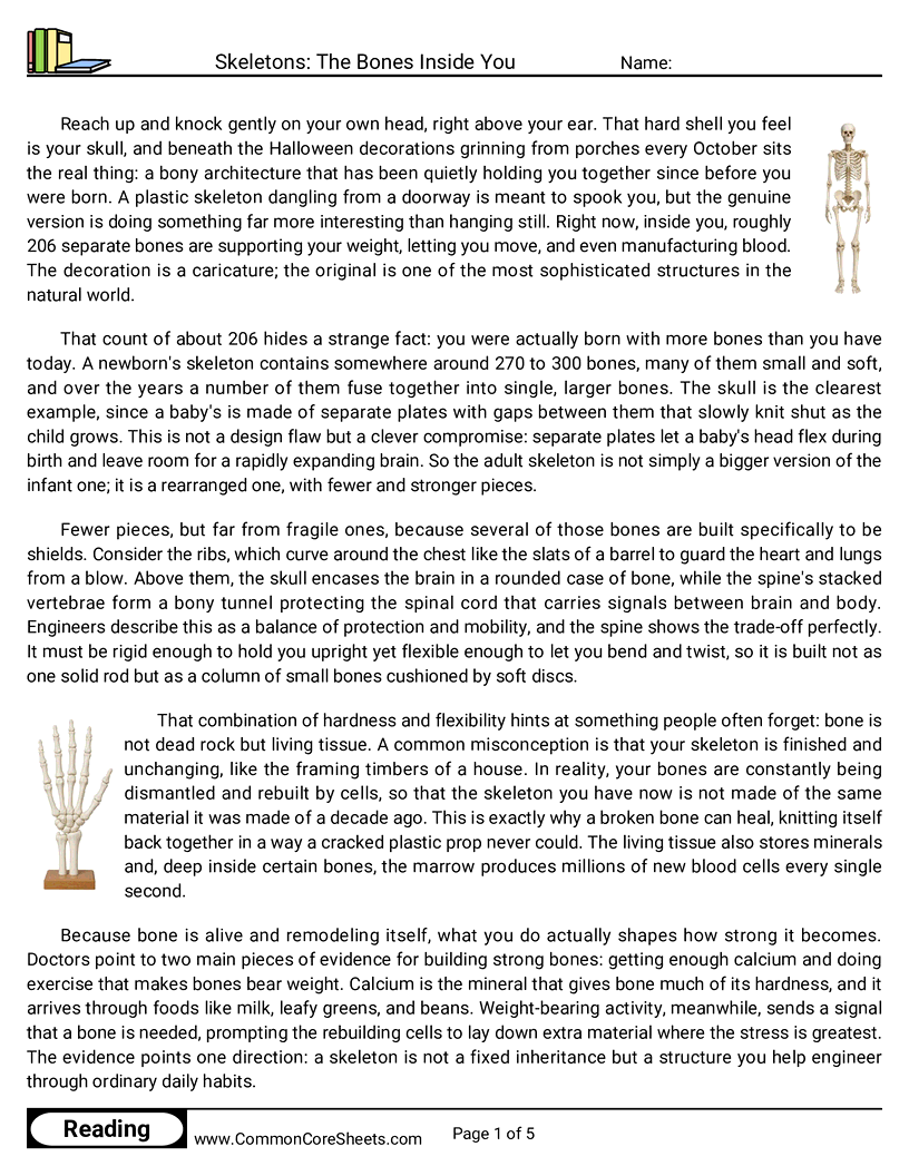8th Grade 31 Days of Halloween Reading - Skeletons: The Bones Inside You worksheet
