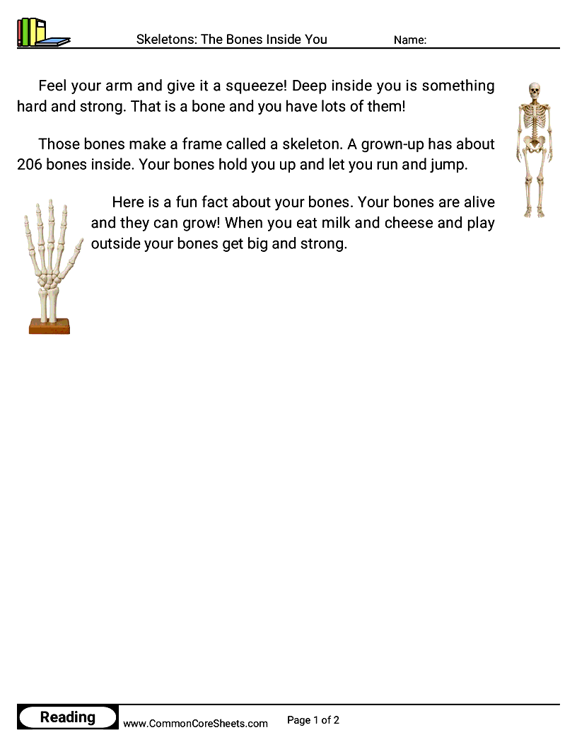 Kindergarten 31 Days of Halloween Reading - Skeletons: The Bones Inside You worksheet