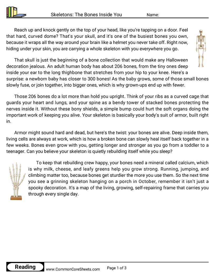 31 Days of Halloween Reading - Skeletons: The Bones Inside You worksheet