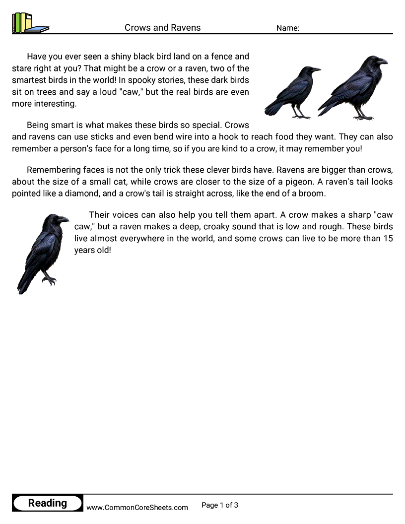 2nd Grade 31 Days of Halloween Reading - Crows and Ravens worksheet
