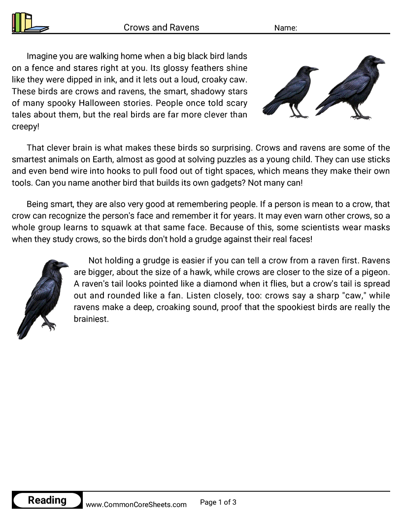 3rd Grade 31 Days of Halloween Reading - Crows and Ravens worksheet