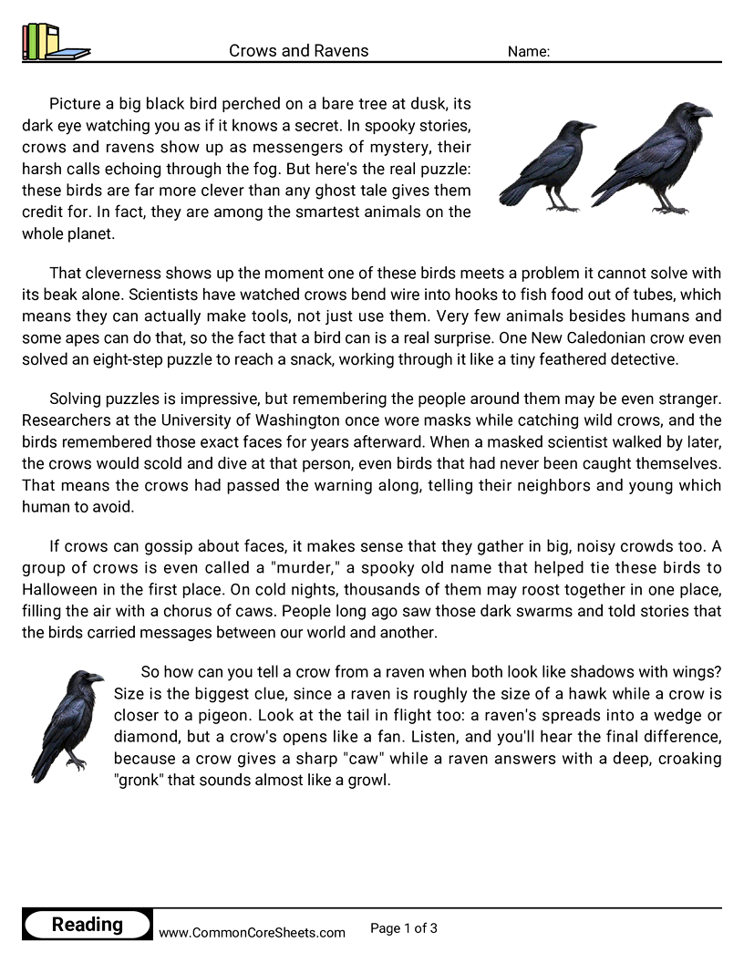 5th Grade 31 Days of Halloween Reading - Crows and Ravens worksheet