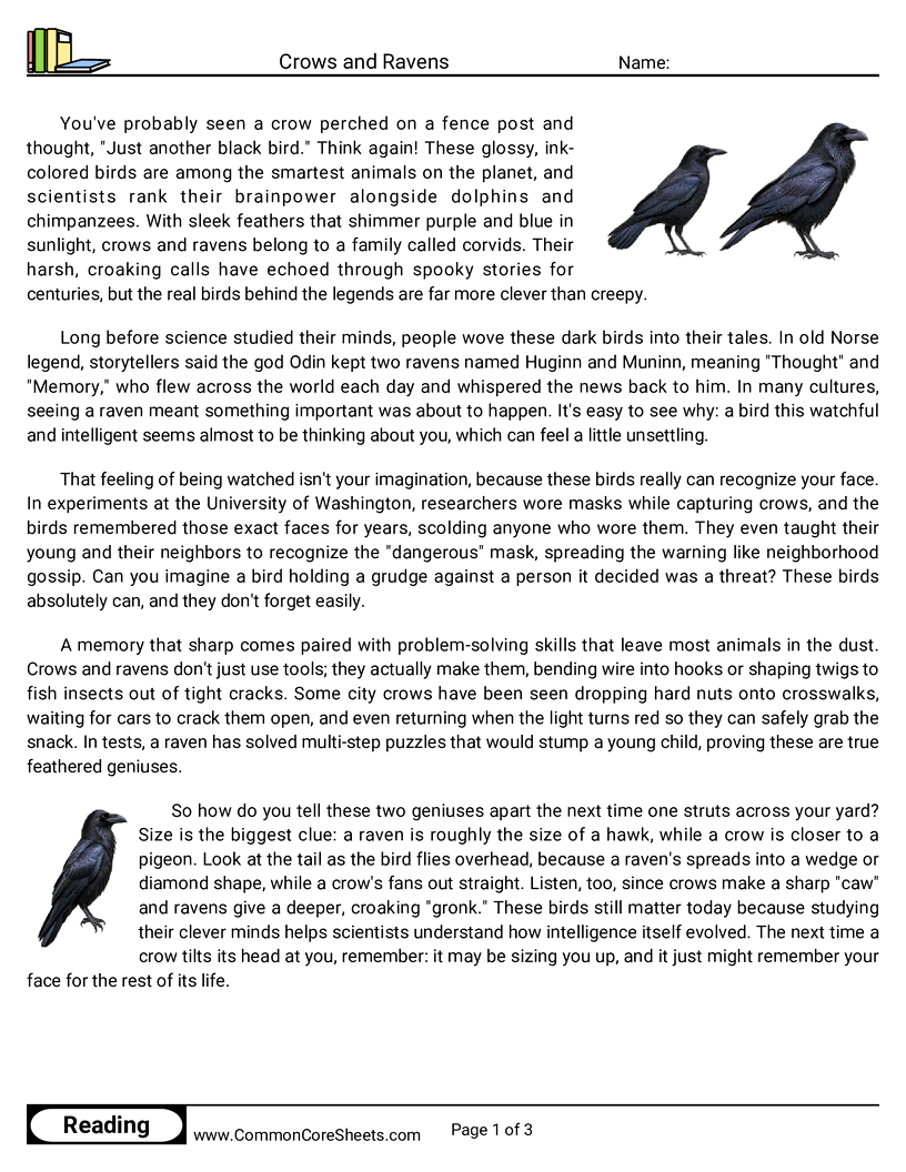 6th Grade 31 Days of Halloween Reading - Crows and Ravens worksheet