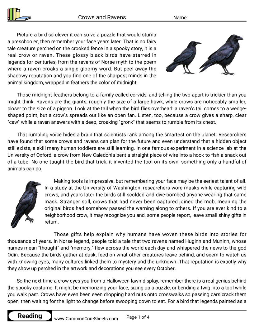 7th Grade 31 Days of Halloween Reading - Crows and Ravens worksheet