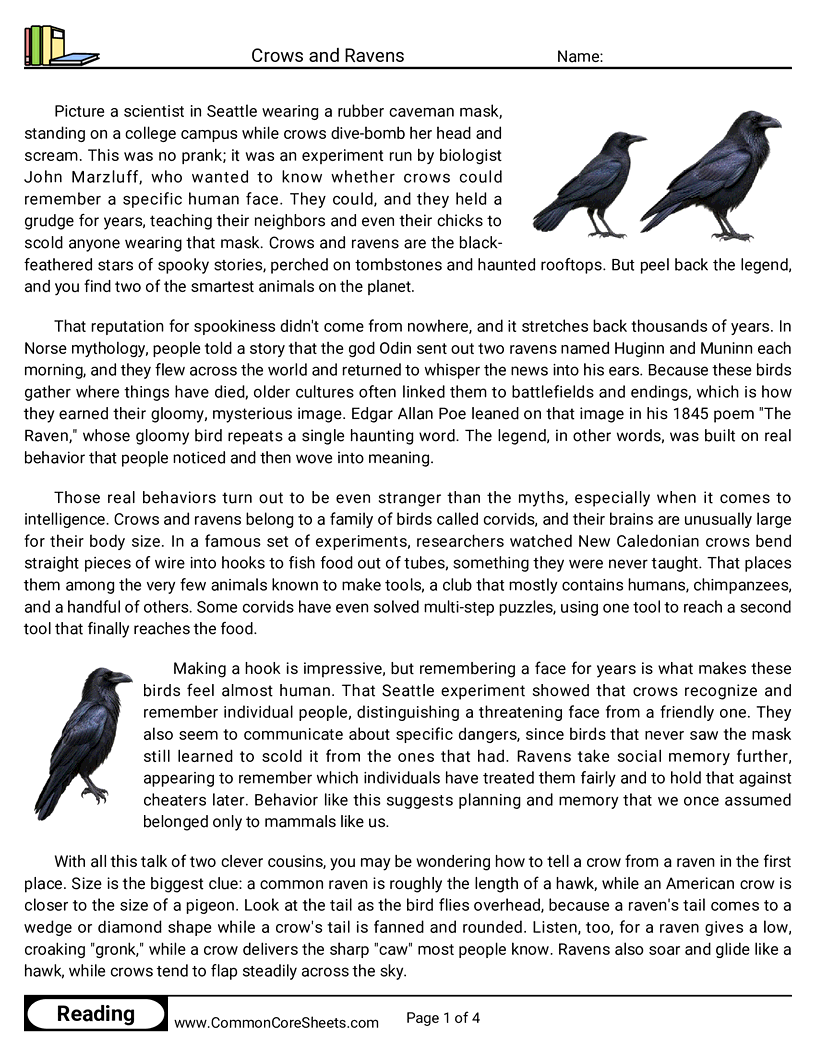 8th Grade 31 Days of Halloween Reading - Crows and Ravens worksheet