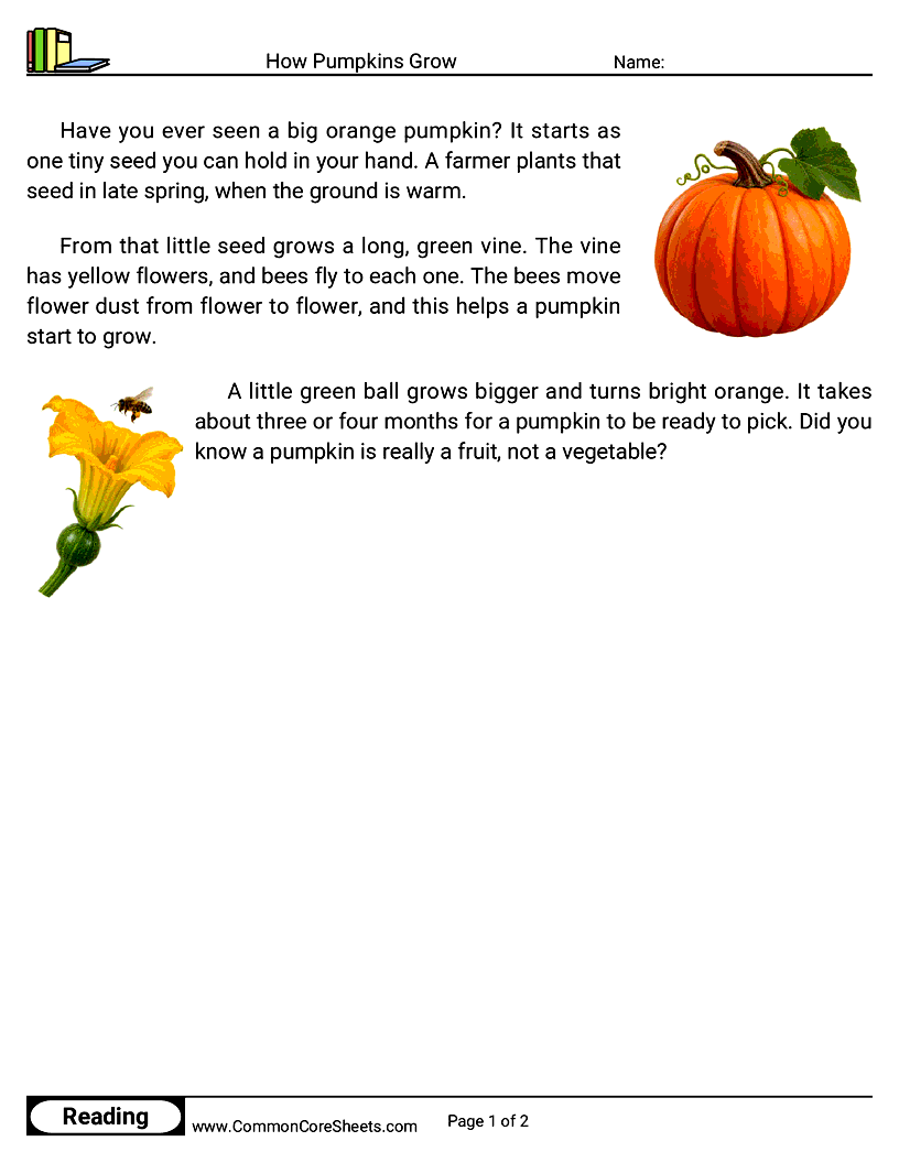 1st Grade 31 Days of Halloween Reading - How Pumpkins Grow worksheet