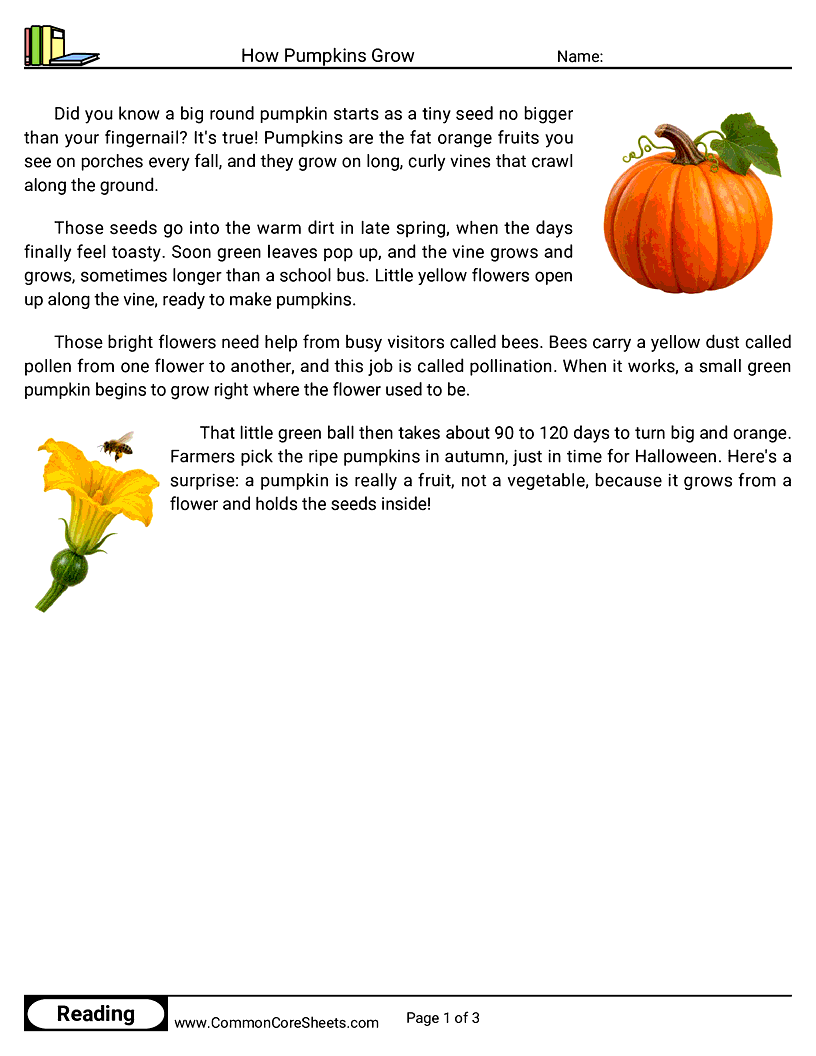 2nd Grade 31 Days of Halloween Reading - How Pumpkins Grow worksheet