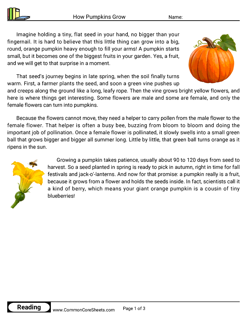 3rd Grade 31 Days of Halloween Reading - How Pumpkins Grow worksheet