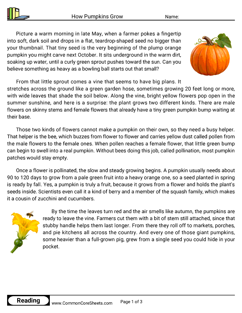 4th Grade 31 Days of Halloween Reading - How Pumpkins Grow worksheet