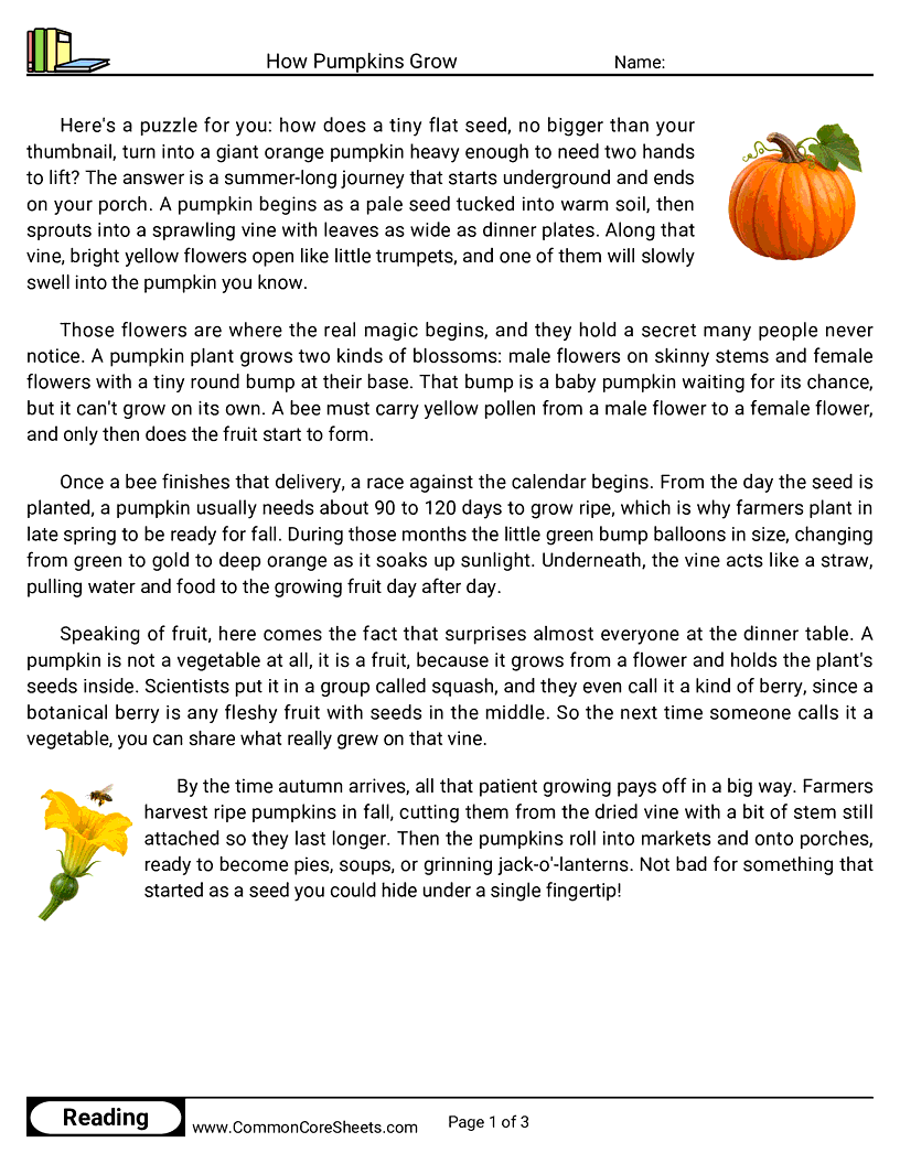 5th Grade 31 Days of Halloween Reading - How Pumpkins Grow worksheet