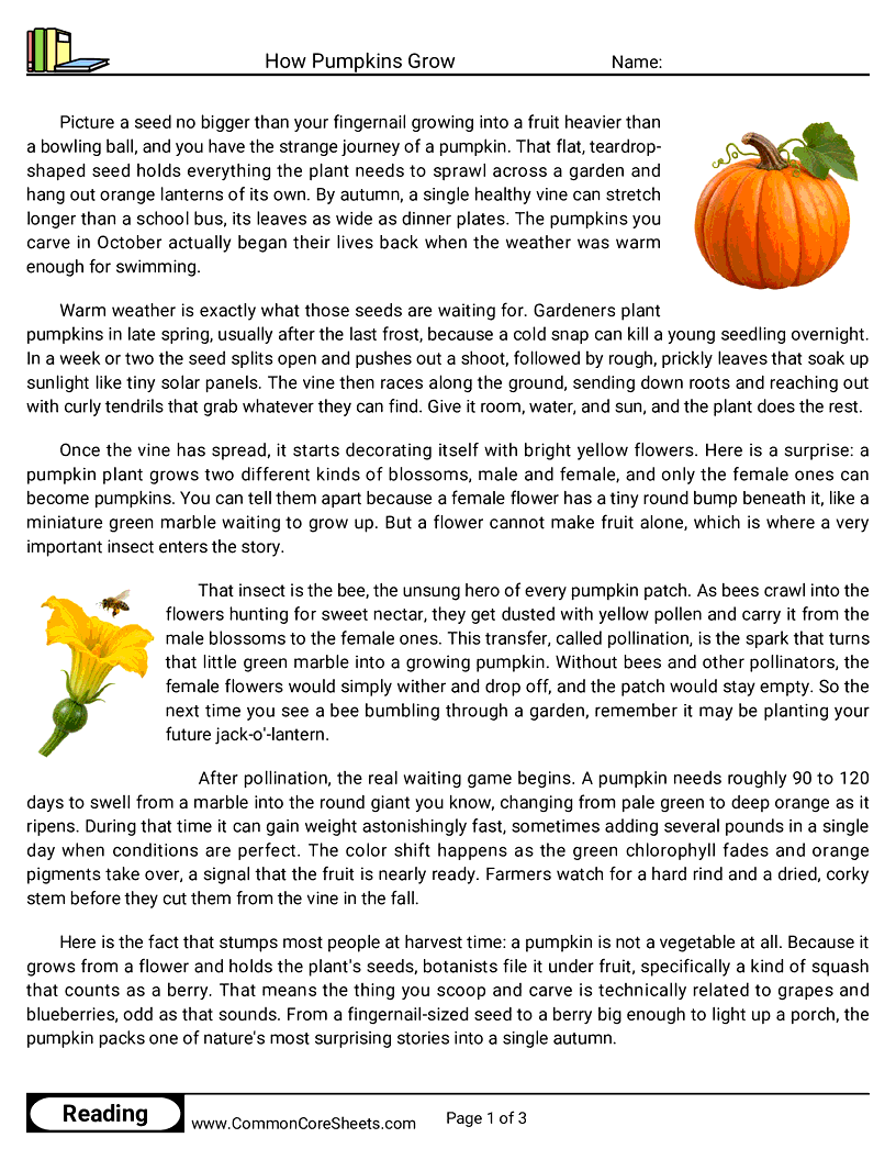 7th Grade 31 Days of Halloween Reading - How Pumpkins Grow worksheet