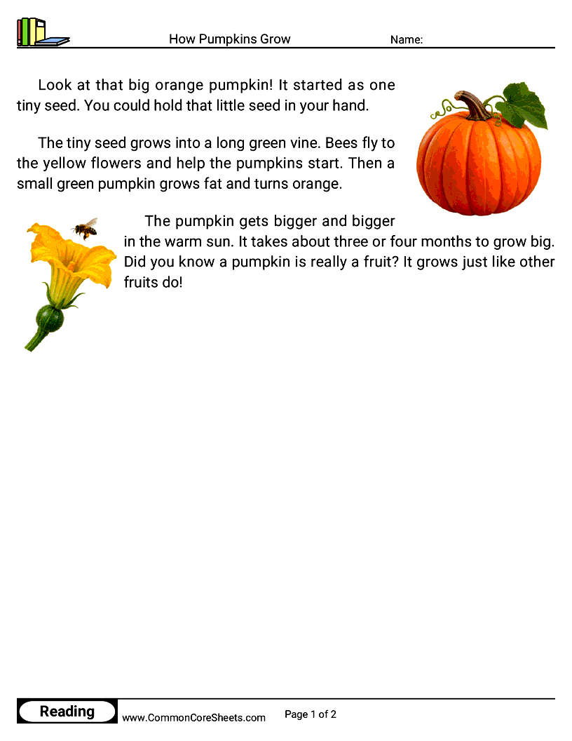 Kindergarten 31 Days of Halloween Reading - How Pumpkins Grow worksheet