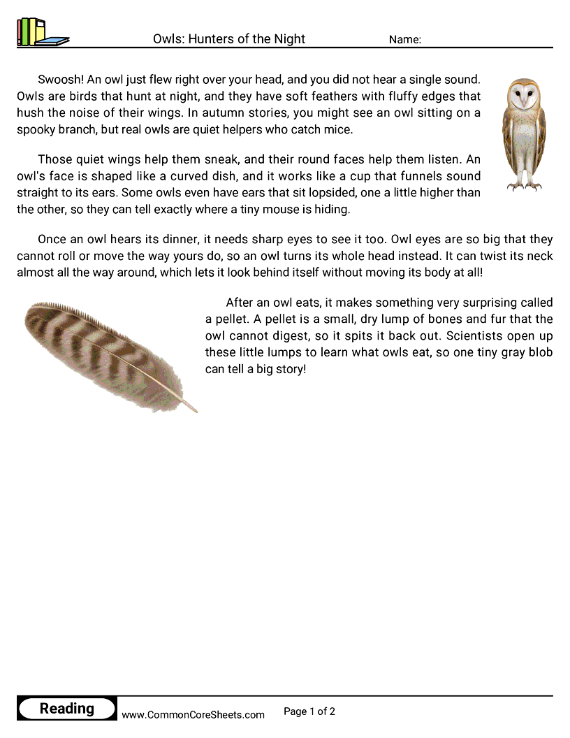 2nd Grade 31 Days of Halloween Reading - Owls: Hunters of the Night worksheet